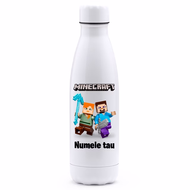 Sticla MINECRAFT 1 Sticla MINECRAFT