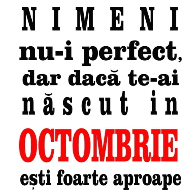 Tricou Nimeni nu-i perfect 2 Tricou Nimeni nu-i perfect - imagine 2