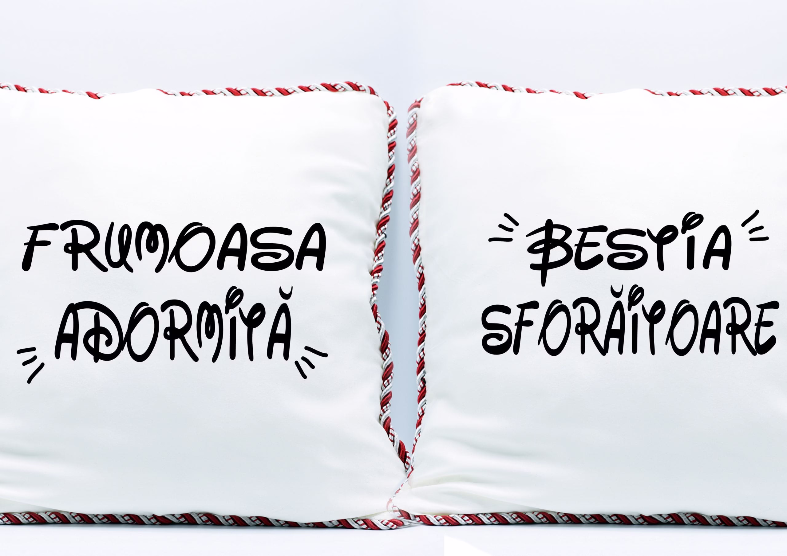 Set perne Frumoasa si Bestia 1 Set perne Frumoasa si Bestia