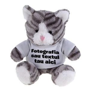 Pisicuță de pluș personalizată