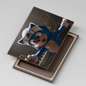 Tablou Canvas Sonic Karate