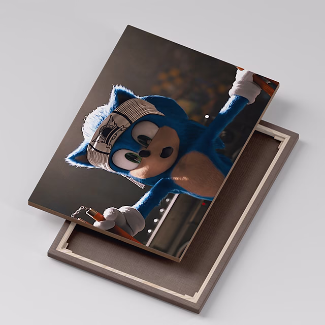 Tablou Canvas Sonic Karate 1 Tablou Canvas Sonic Karate