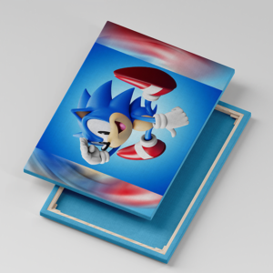 Tablou Canvas Sonic Look