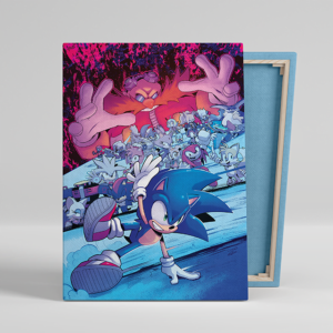 Tablou Canvas Sonic Play