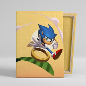 Tablou Canvas Sonic Ring