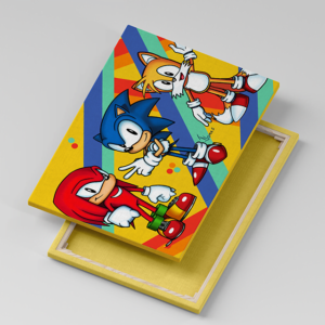 Tablou Canvas Sonic Tales and Knuckles