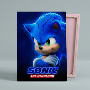 Tablou Canvas Sonic The Hedgehog