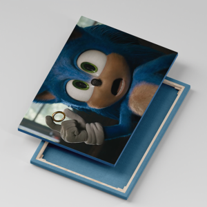 Tablou Canvas Sonic Wow