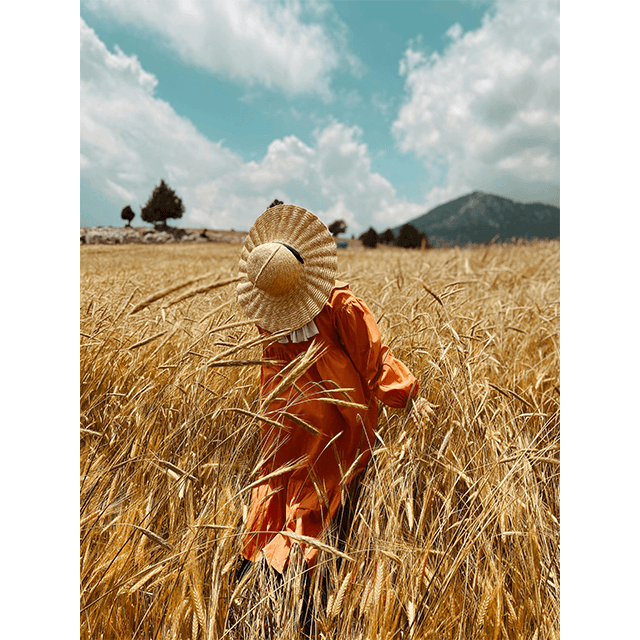 Tablouri Decorative Wheat 3 Tablouri Decorative Wheat - imagine 3